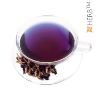 клитория тернатея, clitoria ternatea, голубой чай