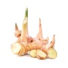 galangal root, сух корен галангал, корен за готвене