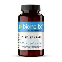 Frunze de alfalfa, Bioherba, 60 capsule, 200 mg