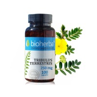 Terrestris Tribulus, 100 capsule, 250 mg