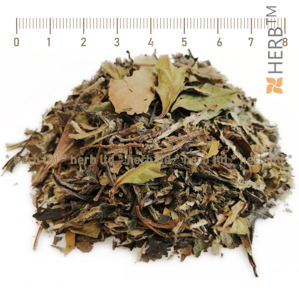 pai mu tan, бял чай, пай му тан, билков чай, екзотичен чай, pai mu tan, green tea, white tea, chinesse tea, chai, zelen,