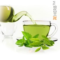 The Vert Menthe, Марокански чай, чай с мента