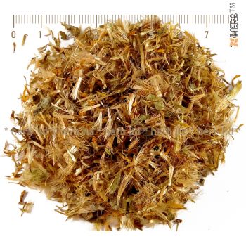 arnica montana herb, arnica montana, arnica montana tea, arnica montana price