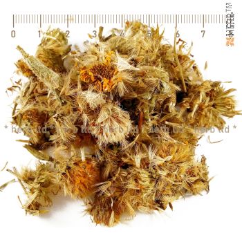 Arnica mexicana flower, arnica price, arnica application, arnica action, arnica herb