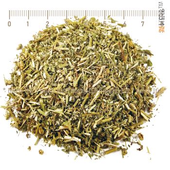 tribulus terrestris application, tribulus terrestris herb, potency, sexual power