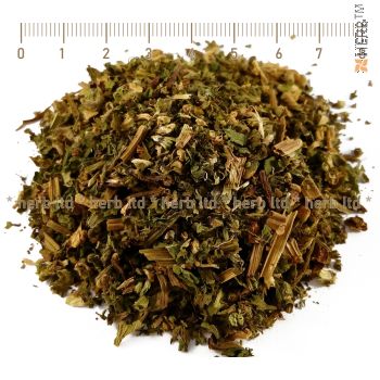 white dead nettle, white dead nettle price, Lamium album L, Nettle Dried tea, Dried nettle