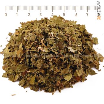 gymnema sylvestre, Gymnema reviews, Gymnema tea