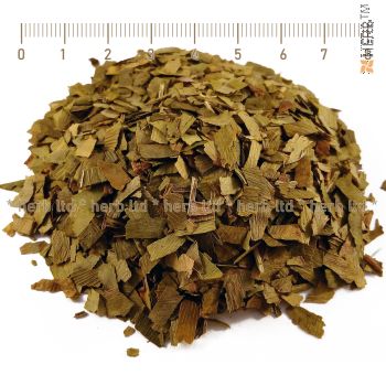 ginkgo biloba herb, ginkgo biloba leaf, ginkgo biloba, ginkgo biloba tea