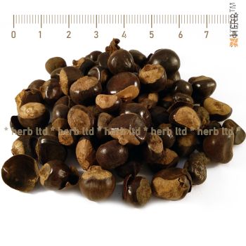 guarana, Paullinia cupana, Guarana seeds, Guarana action