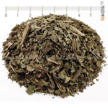 broadleaf plantain, plantain leaf, plantago major, plantain tea for eczema, sore throat