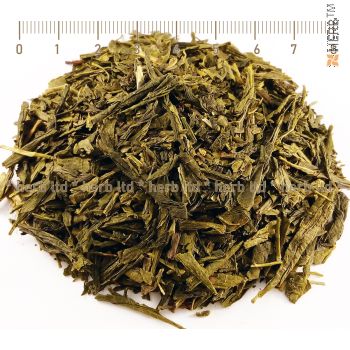 green tea leaves, loose sencha tea, Camellia sinensis, sencha tea properties