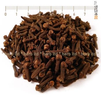 clove herb, syzygium aromaticum, spice