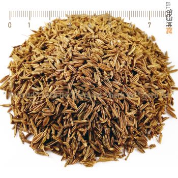 Caraway spice, Caraway spice price, Caraway tea, Caraway useful properties, Caraway recipes