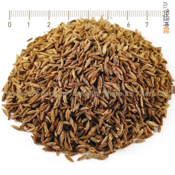 whole cumin, cumin seed, Cuminum cyminum, cumin benefits