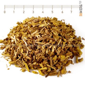 sorrel herb, Berberis vulgaris L., sorrel root, sorrel root price, sorrel root action