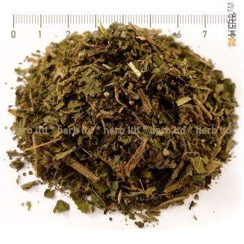 nettle leaf herb, nettle hair growth, nettle leaf tea, nettle leaf price