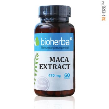 Maca extract, Lepidium meyenii, Peruvian ginseng