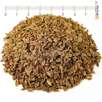 fennel seed, anethum graveolens, fennel seed treatment, fennel seed benefits