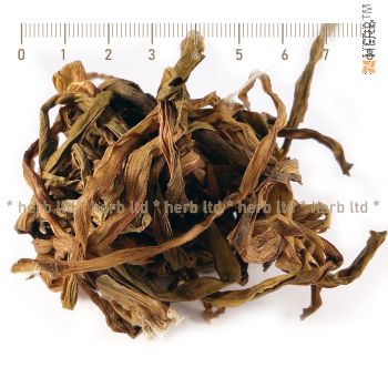 Crinum lilly stem, wild lily, wild lily stalk, wild lily for the genital system, wild lily tea