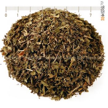 Lazarus herb, Lazarus for urinary tract diseases, Lazarus for intestinal and biliary colic