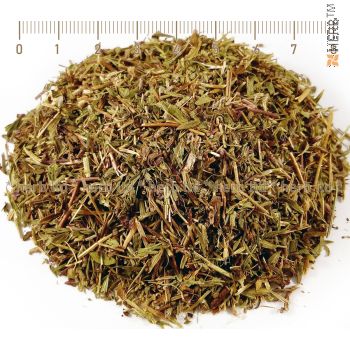 aromatic thyme, thyme stalk, thymus serpyllum, thyme recipes, thyme tea