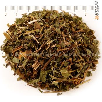 urban enchantress, enchantment for inflammation and bleeding gums, urban enchantress herb, rabbit step, urban enchantress stalk, rabbit step price