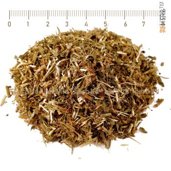 patchouli herb, Poligonum avicular, patchouli stalk