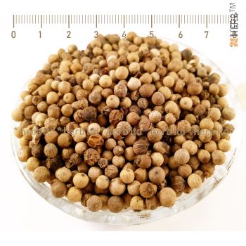 white pepper spice, White peppercorns, Piper nigrum, White peppercorns price