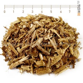 blue bile herb, blue bile tea, blue bile price, chicory root, chicory herb, Cichorium intybus, herbal tea