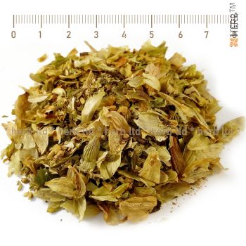 hop herb, hop herb price, hop cones tea, peas, mustard, yeast, baker's yeast, hops, hop cones, humulus lupulus, hop cones for nervous arousal, insomnia, sexual arousal, menopausal nervous complaints