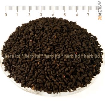 black cumin, nigella sativa, herbs, health, black cumin application