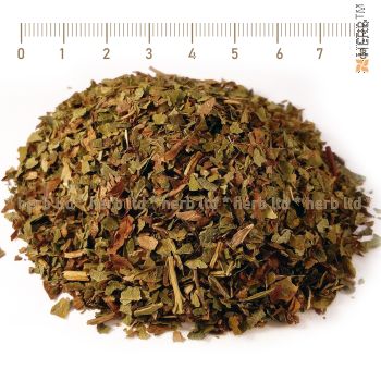 strawberry forest leaf, Strawberry Forest Leaf, Fragaria vesca,  strawberry wild herb, wild strawberry, wild strawberry price