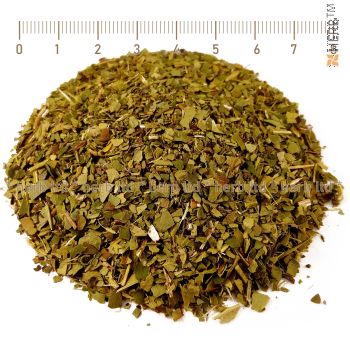 mate tea, original, south america, mate tea green, ilex paraguariensis