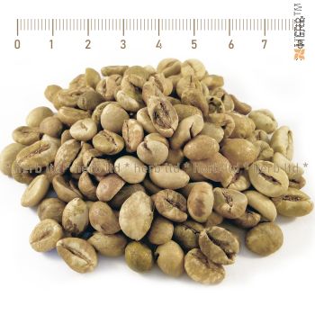 green coffee beans price, robusta beans