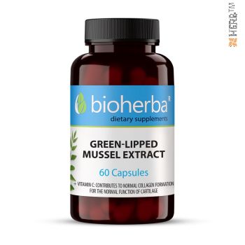 GREEN-LIPPED MUSSEL EXTRACT / ЗЕЛЕНОУСТА МИДА ЕКСТРАКТ 60 КАПСУЛИ 