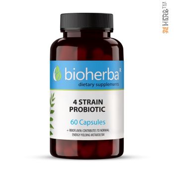 пробиотик 4, probiotic, bioherba, online