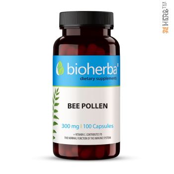 bee pollen, пчелен прашец, витамини, минерали,