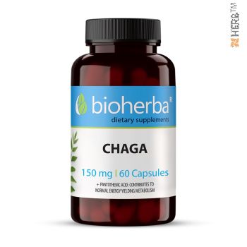 FULL SPECTRUM CHAGA  MUSHROOM / ЧАГА ГЪБА 60 КАПСУЛИ  