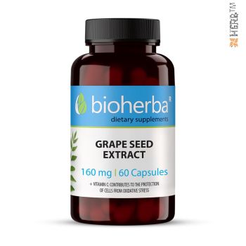 GRAPE SEED EXTRACT 60  CAPSULES/ ЕКСТРАКТ ОТ ГРОЗДОВИ СЕМКИ 60 КАПСУЛИ