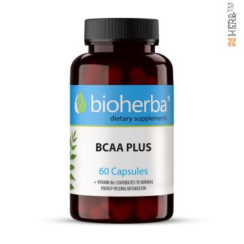 Bioherba Bcaa Plus, 60 Capsules