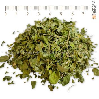 моринга чай, ронен лист, имуните, моринга цена, moringa, Moringa oleifera