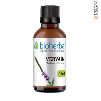 tincture vervain, vervain, verbena officinalis