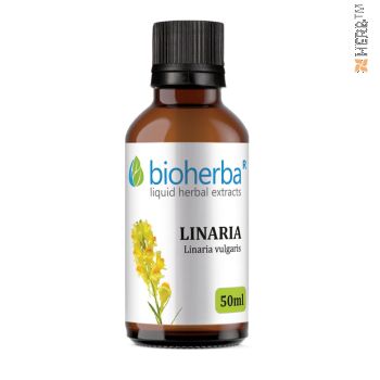 LINARIA, Linaria vulgaris, Bioherba, LIQUID, HERBAL, EXTRACT, diuretic