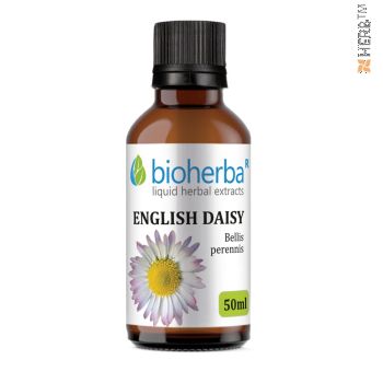 ENGLISH DAISY, Bellis perennis, Bioherba, LIQUID, HERBAL, EXTRACT, fever, cough, pleurisy, digestion, liver, bile, kidneys