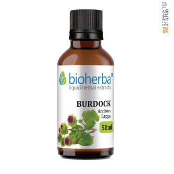 burdock tincture, great burdock