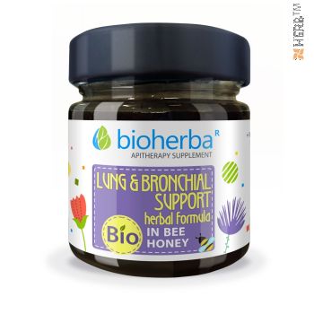 Broncho in Bio Honey, Bioherba, 280 grams, for cough, cough, broncho, herbs for colds