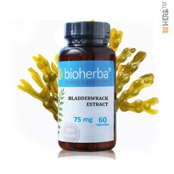 Bladderwrack extrakt, 60 capsules, for weight loss