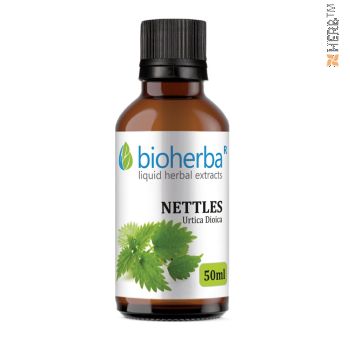 nettle, tincture, arthritis, bone system