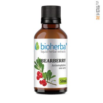 bearberry, tincture, cystitis