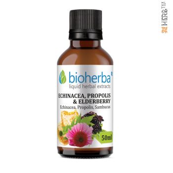 echinacea, propolis, elderberry, tincture, immune system